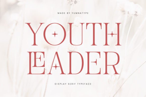 Youth Leader: A Bold Serif Font for Brand Identity Work